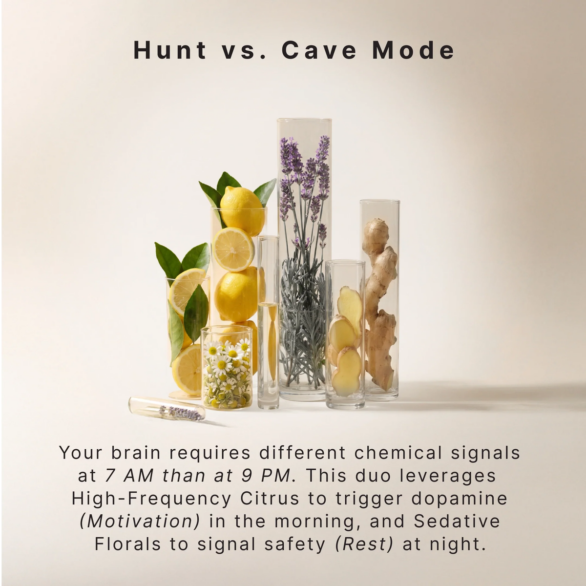 The Circadian Edit